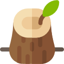 Stump Removal North Shore