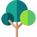 Tree Pruning North Shore