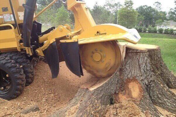 Stump Removal North Shore